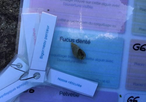 WhatsApp-Image-2026-04-09-at-11.54.41