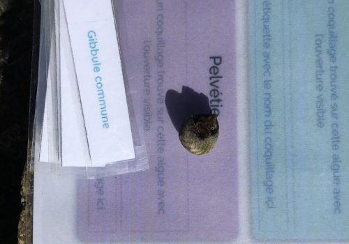 WhatsApp-Image-2026-04-09-at-11.54.44