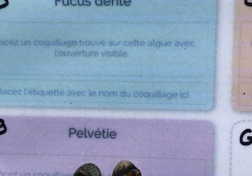 WhatsApp-Image-2026-04-09-at-11.54.48