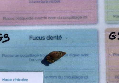 WhatsApp-Image-2026-04-09-at-11.54.53-1