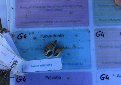 WhatsApp-Image-2026-04-09-at-11.54.54-2