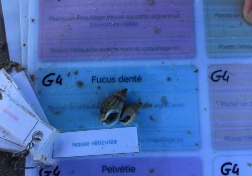 WhatsApp-Image-2026-04-09-at-11.54.55