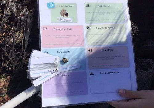 WhatsApp-Image-2026-04-09-at-11.55.00-2