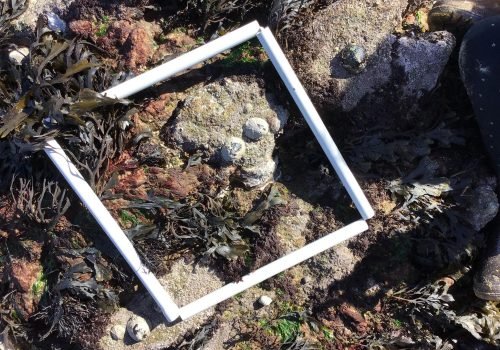 WhatsApp-Image-2026-04-09-at-11.55.01