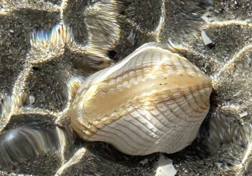 c689c639-4da7-4a0d-a3f1-dd633f3c15a7