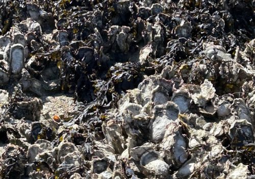 d2e6f352-285a-41bb-bc31-ab5fbcec363f-1