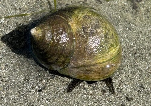 e32ebf77-0fba-4af0-ae8a-50d643f9f111-1