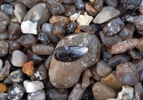 photo-moule