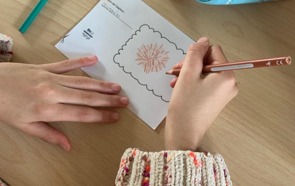 visuel_atelier_SDLM_avance