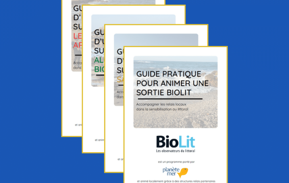 visuel_guides_animation visuel_guides_animation