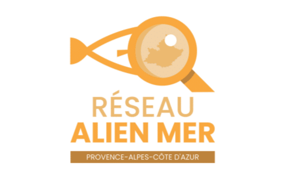 visuel_logo_ALIEN_MER_Sud