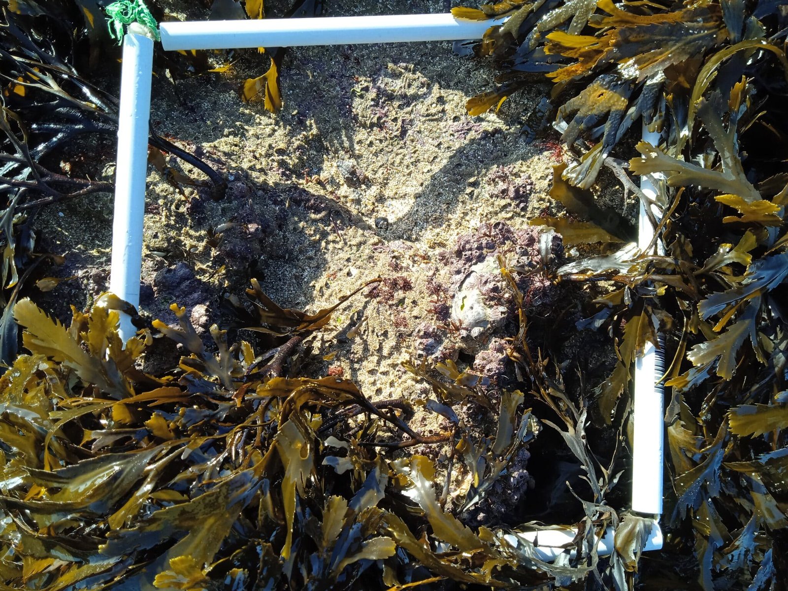 Q1-IMG_20240211_112839-1