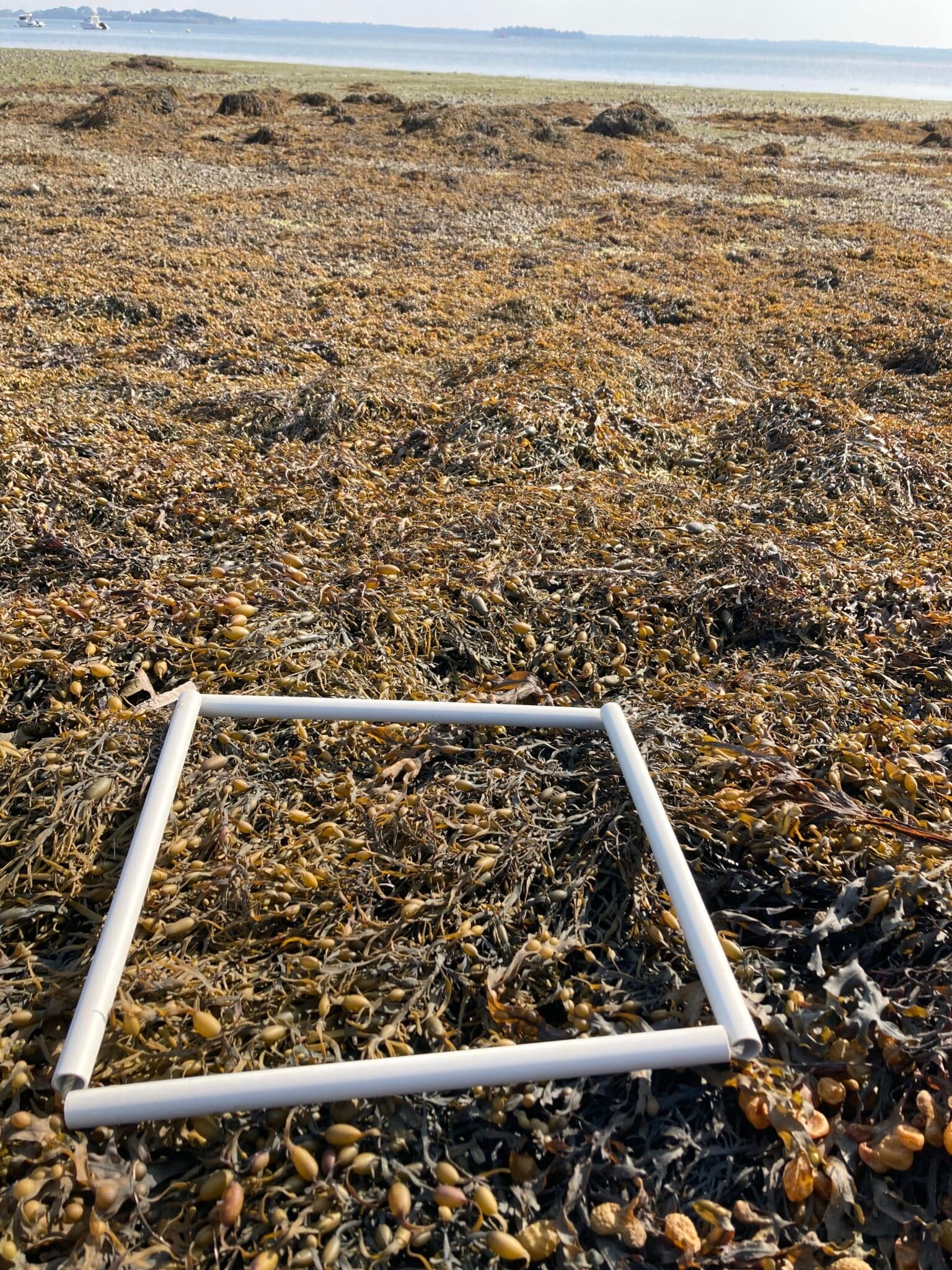 QUADRAT-1-3