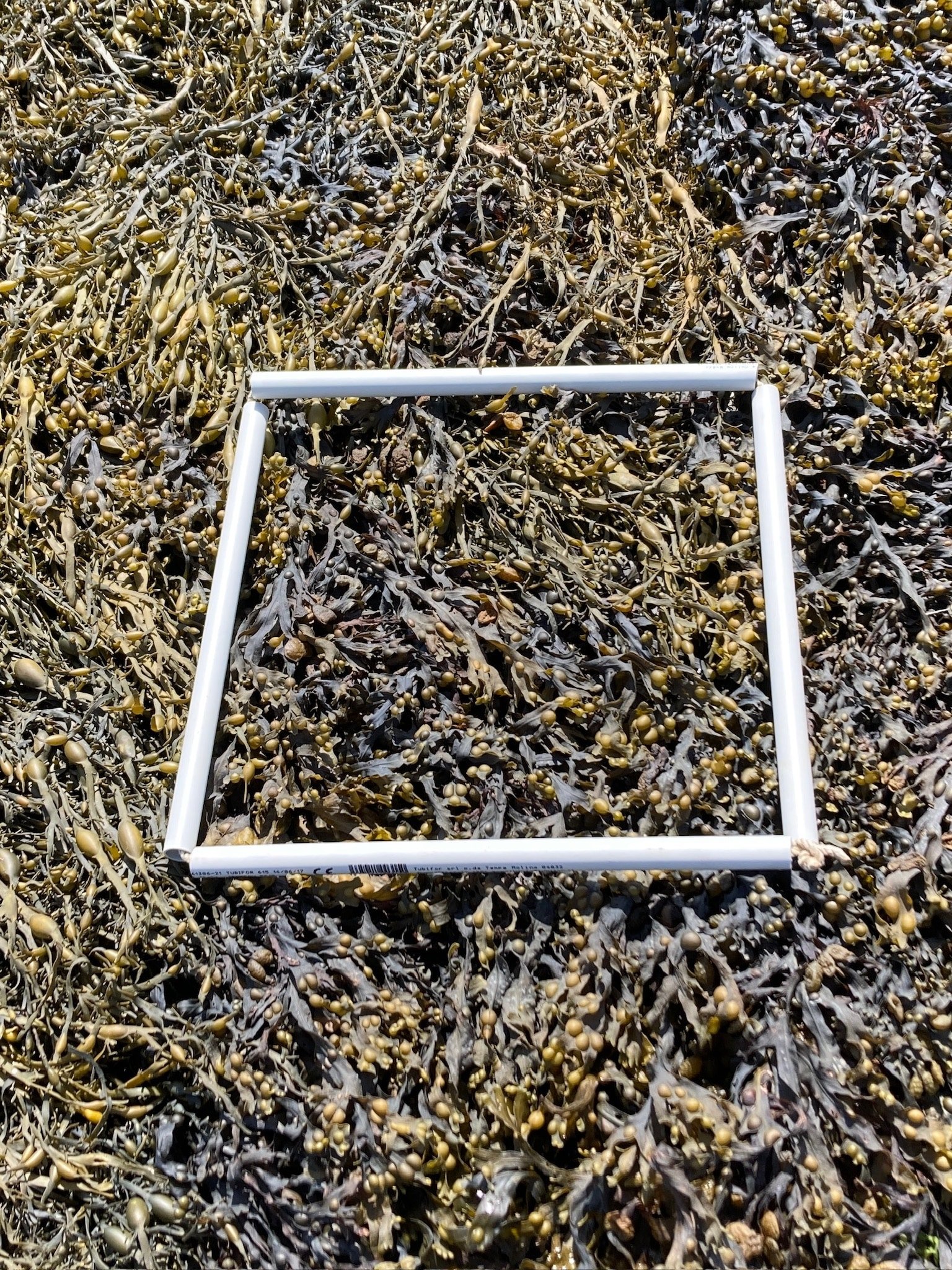Q1
