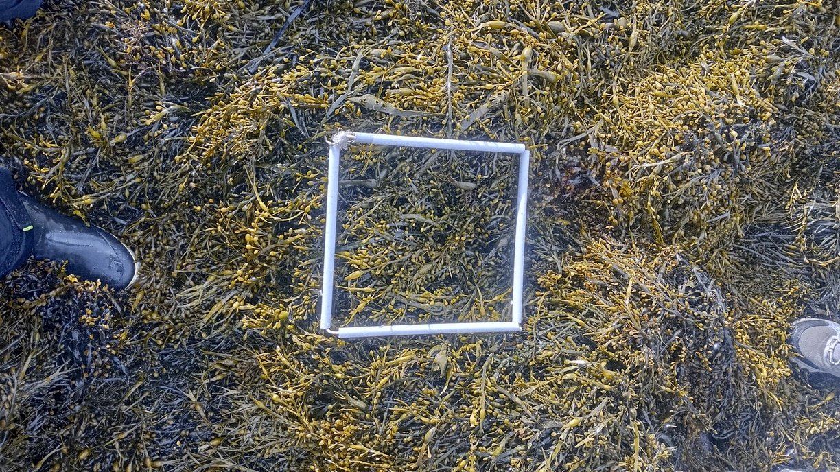 quadrat-2_vue-globale