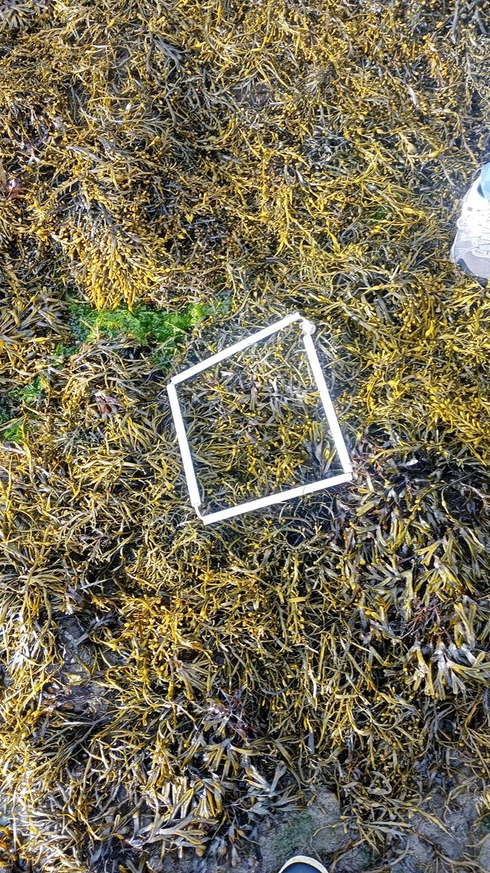 quadrat-3_vue-globale