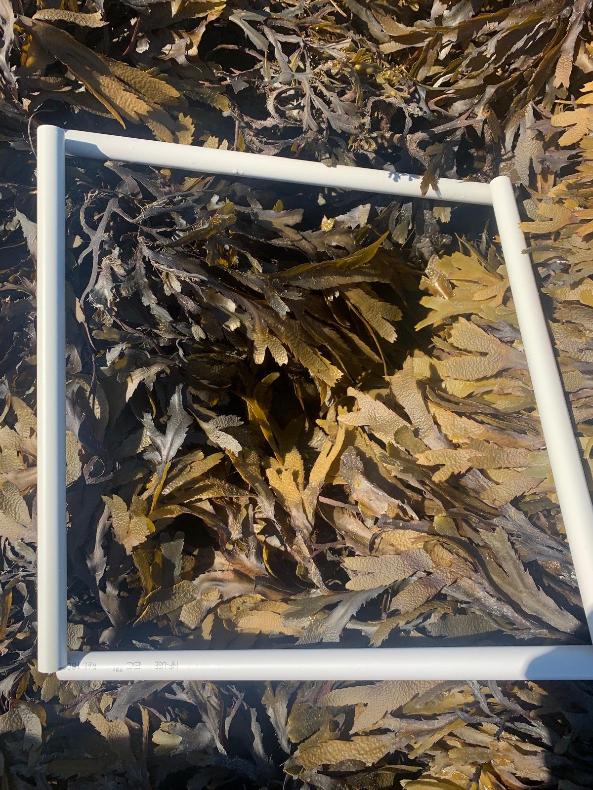 CB6A49F8-9697-4E4C-9383-5DD60458A1D7