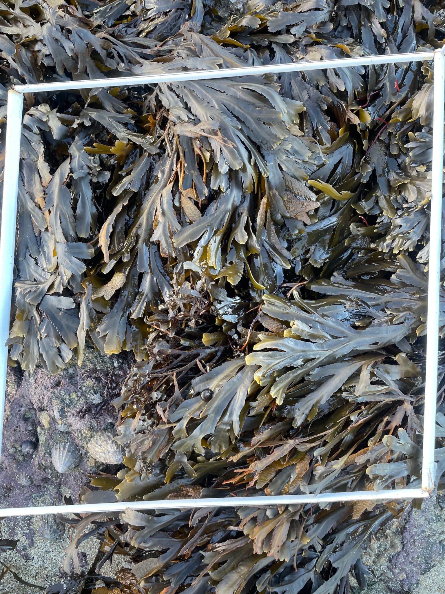 photo_1-2
