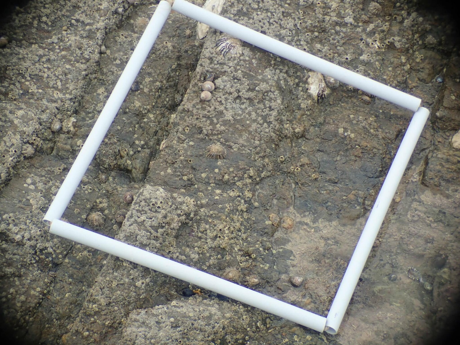 P9220008