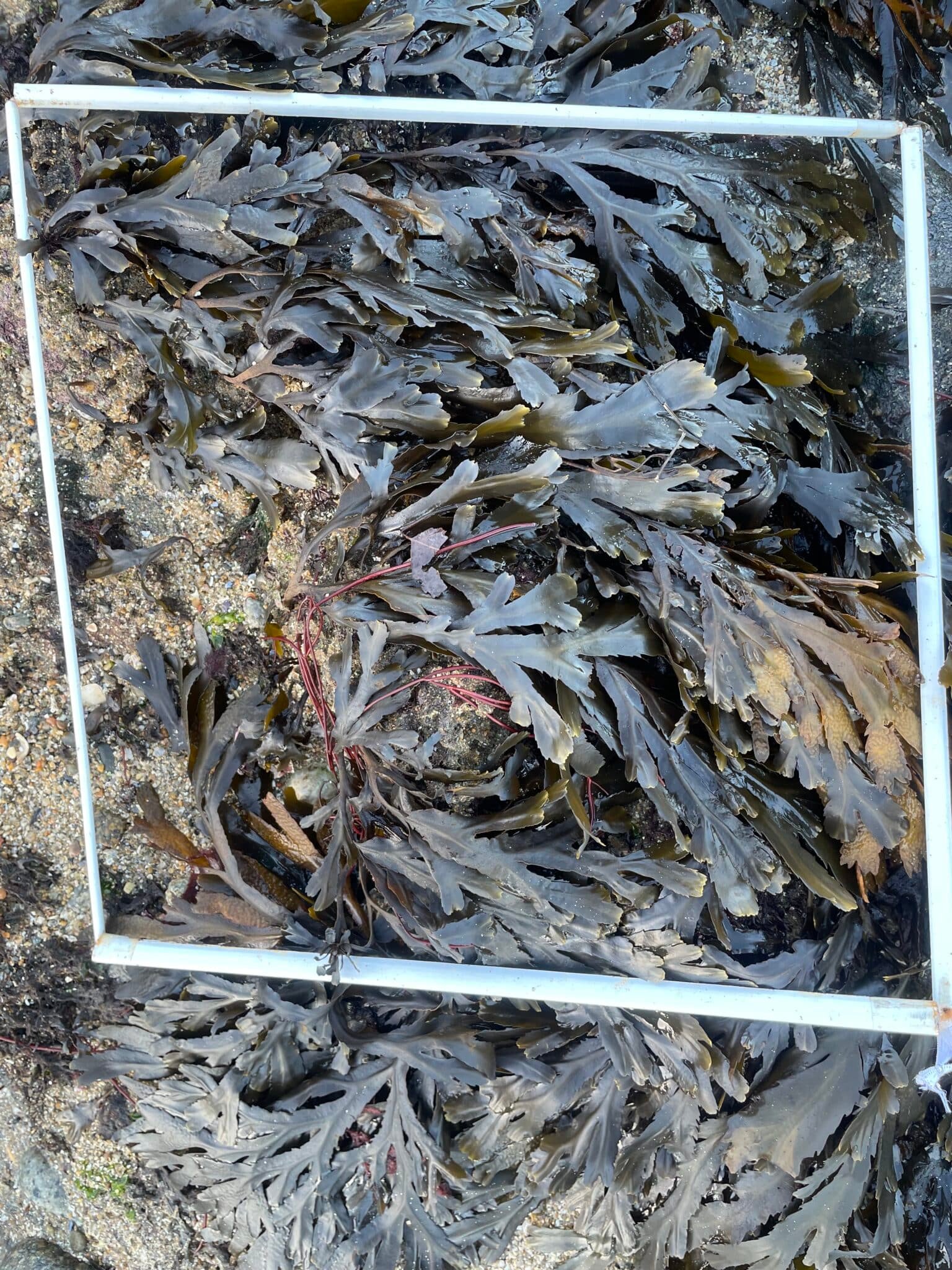 photo_1Q3