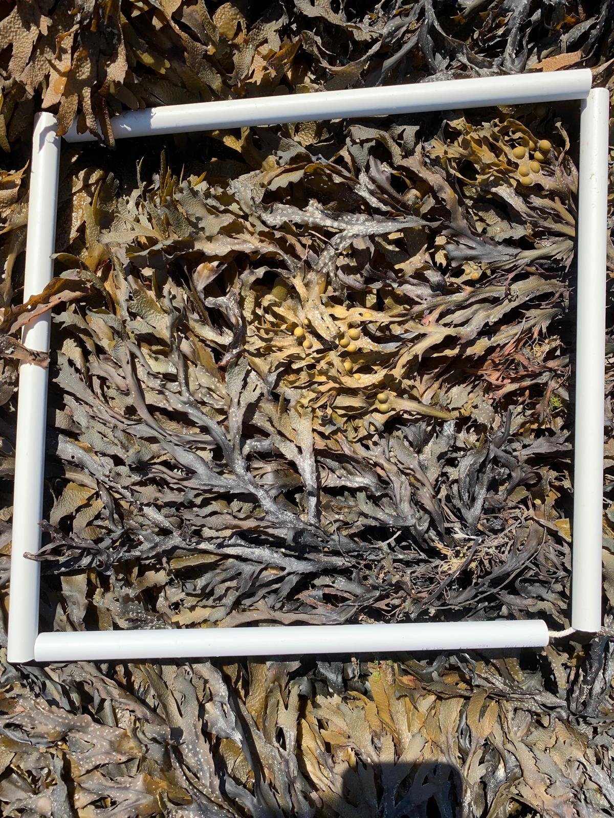 WhatsApp-Image-2025-08-25-at-16.45.23-2