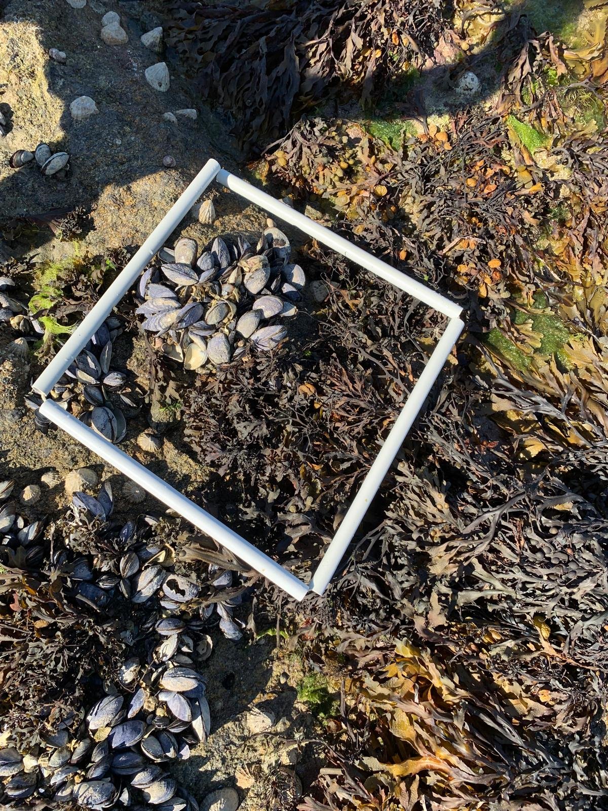 WhatsApp-Image-2025-08-25-at-16.45.24-11