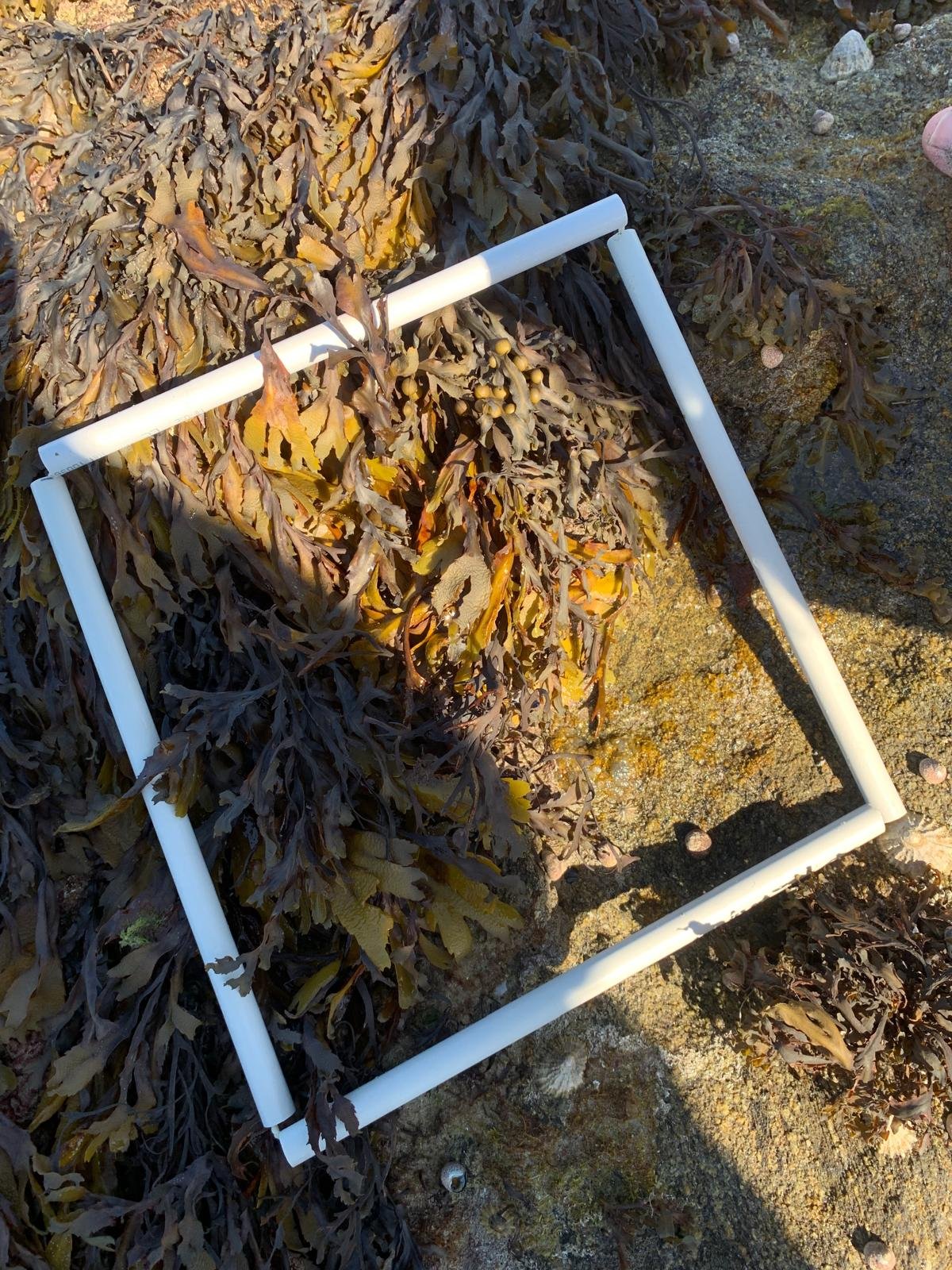 WhatsApp-Image-2025-08-25-at-16.45.24-17