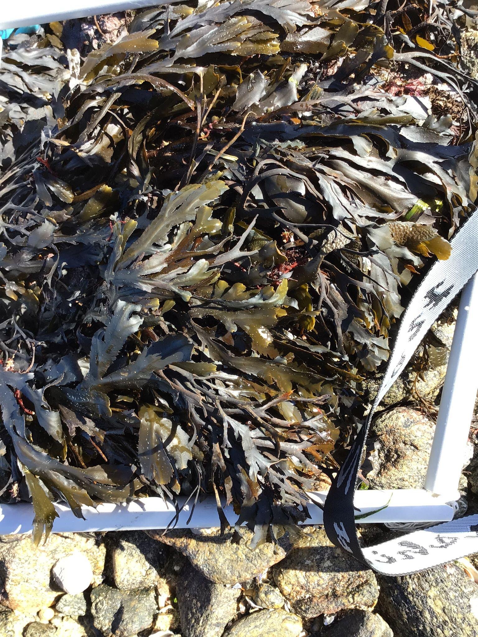 WhatsApp-Image-2026-04-09-at-11.54.47