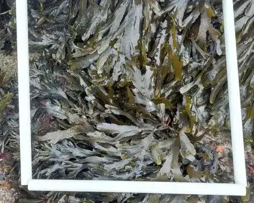 20260401_140135-scaled-rlektfrepai7fu6bucro79mhb00zbfegugw0qpbcf4