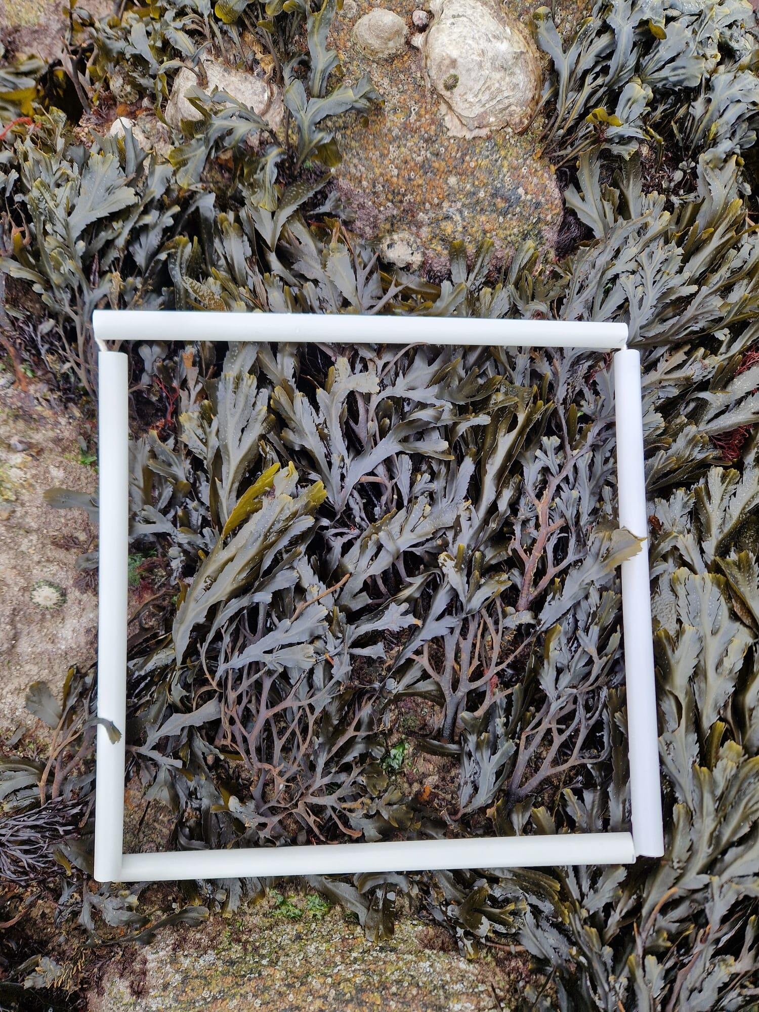 WhatsApp-Image-2026-04-02-at-09.09.33