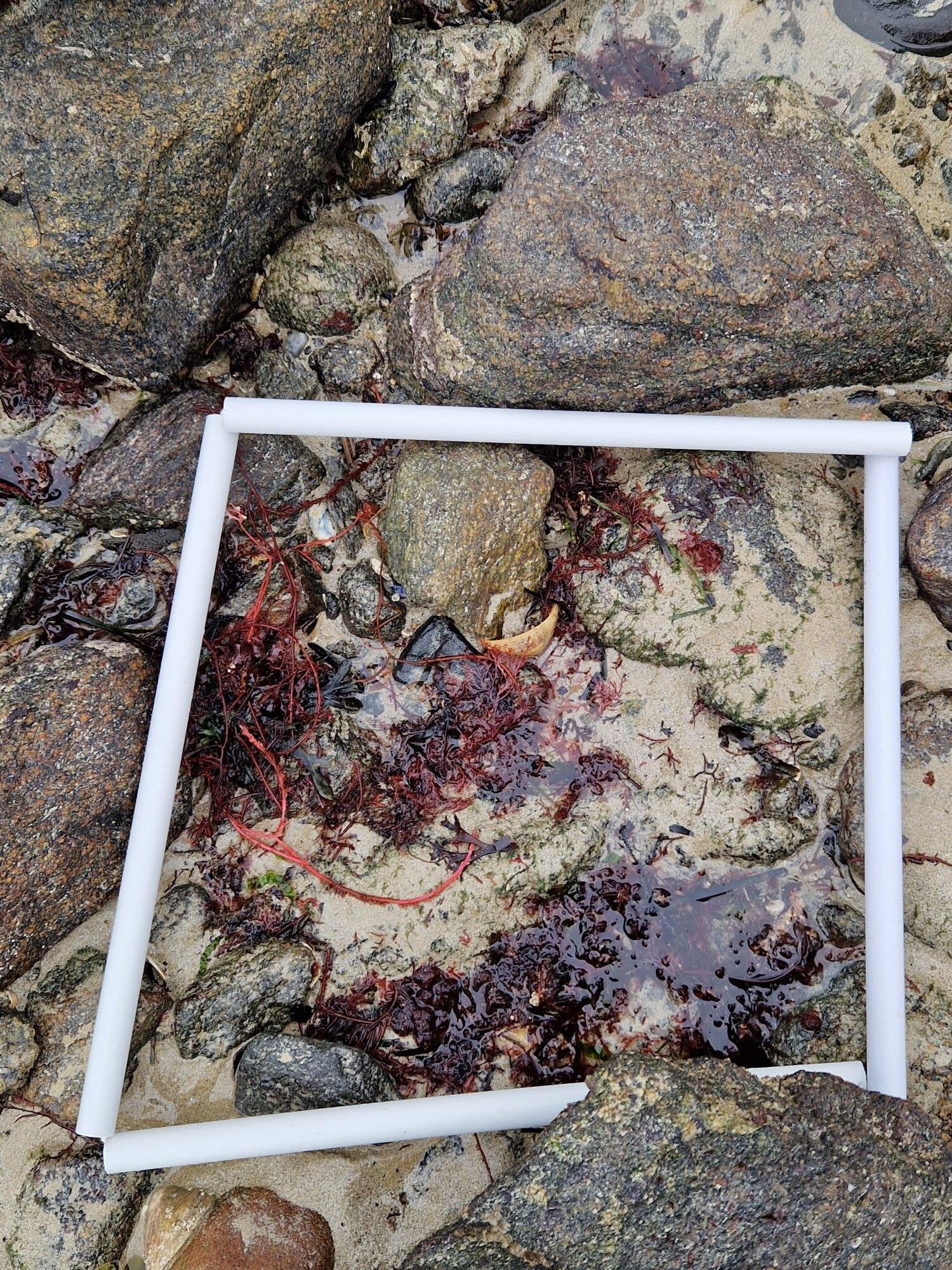 WhatsApp-Image-2026-04-02-at-09.10.15