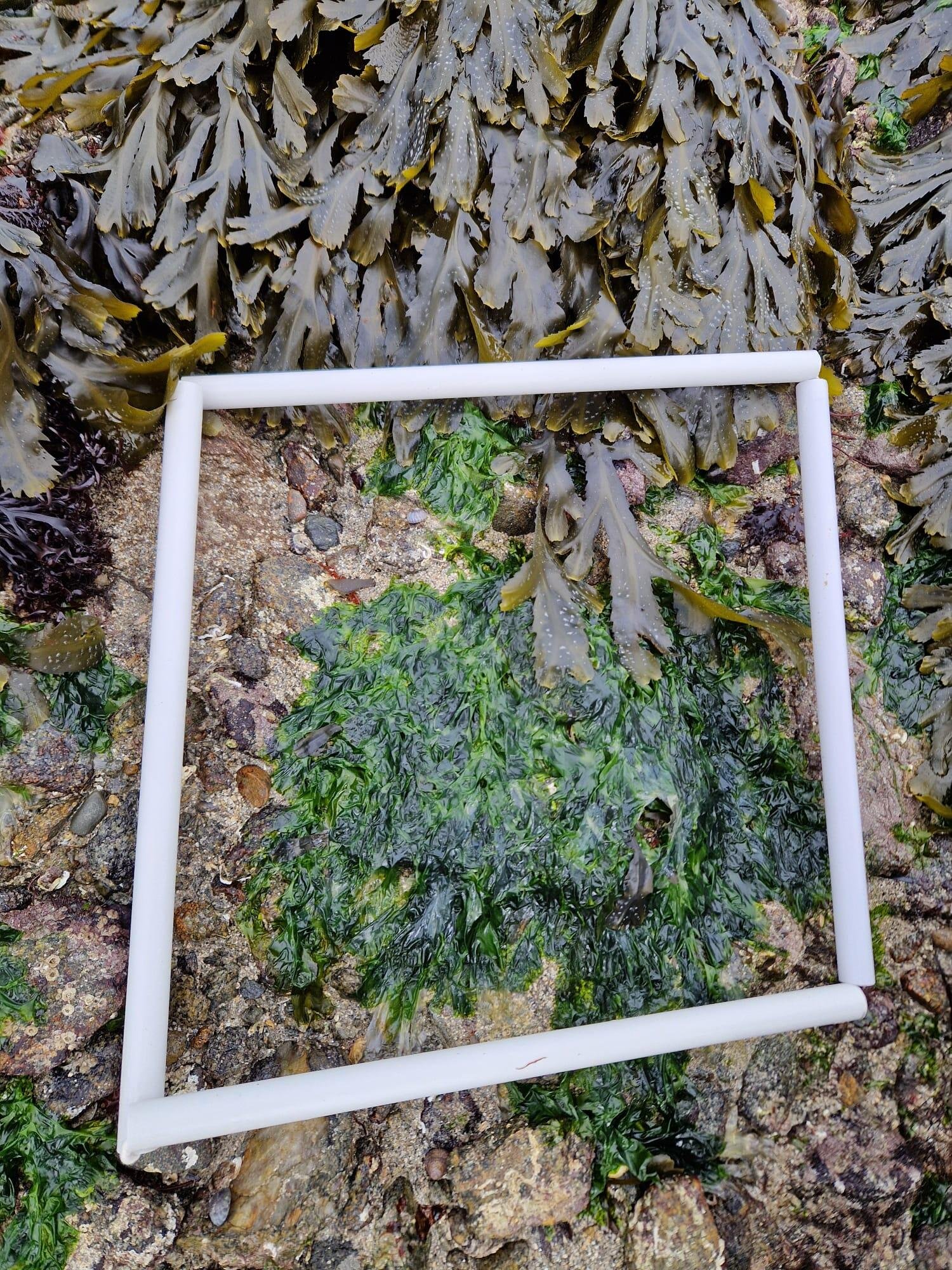 WhatsApp-Image-2026-04-02-at-09.10.25