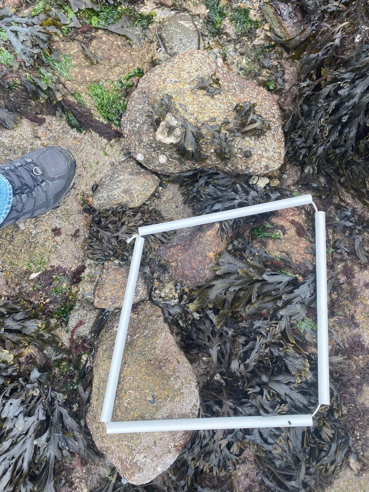 WhatsApp-Image-2026-04-02-at-09.17.49