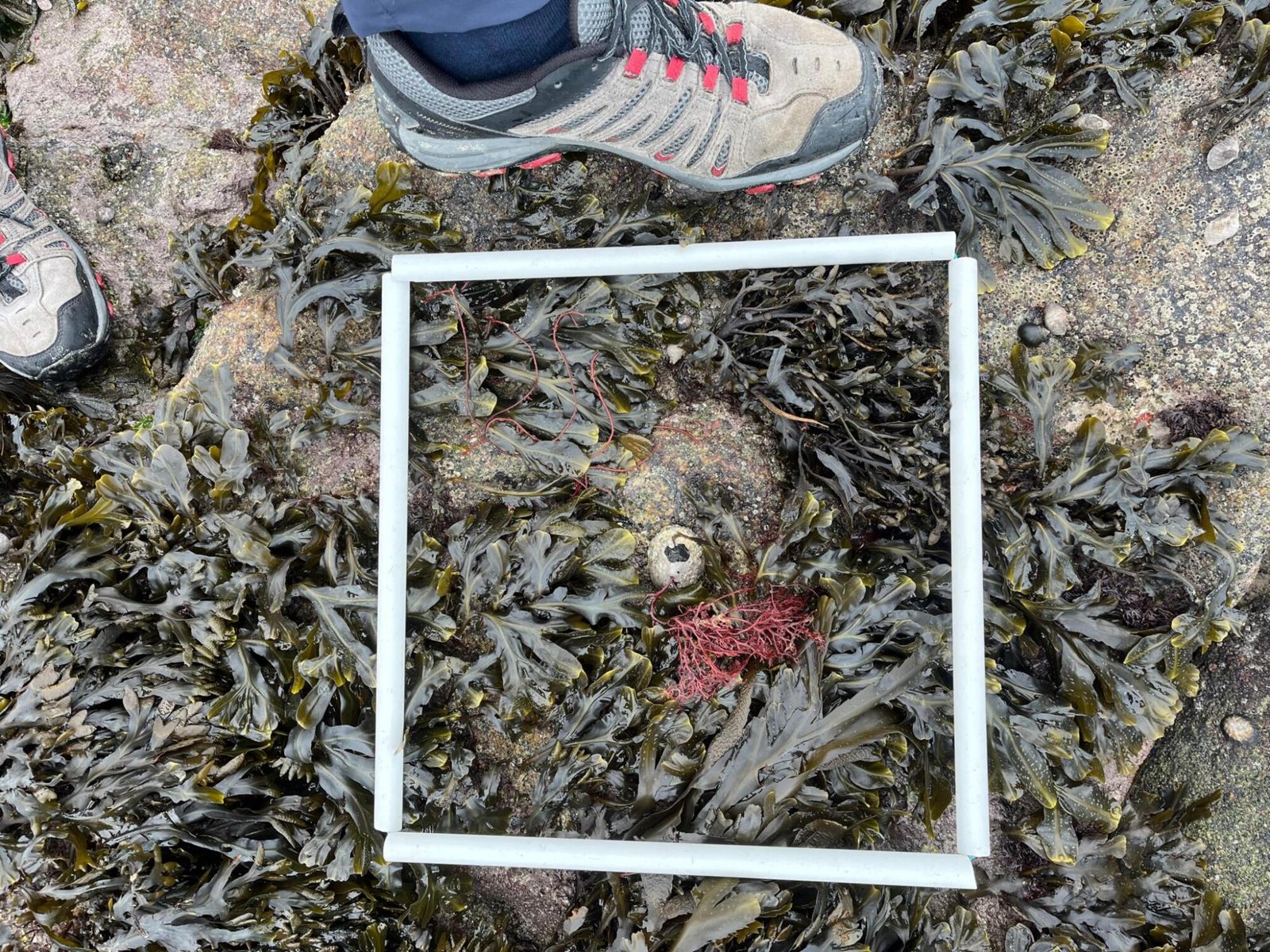 WhatsApp-Image-2026-04-02-at-09.19.23