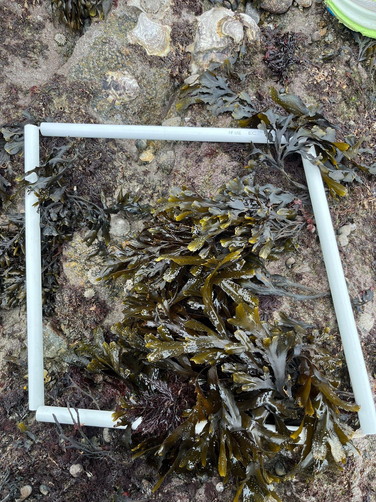 WhatsApp-Image-2026-04-02-at-09.20.13