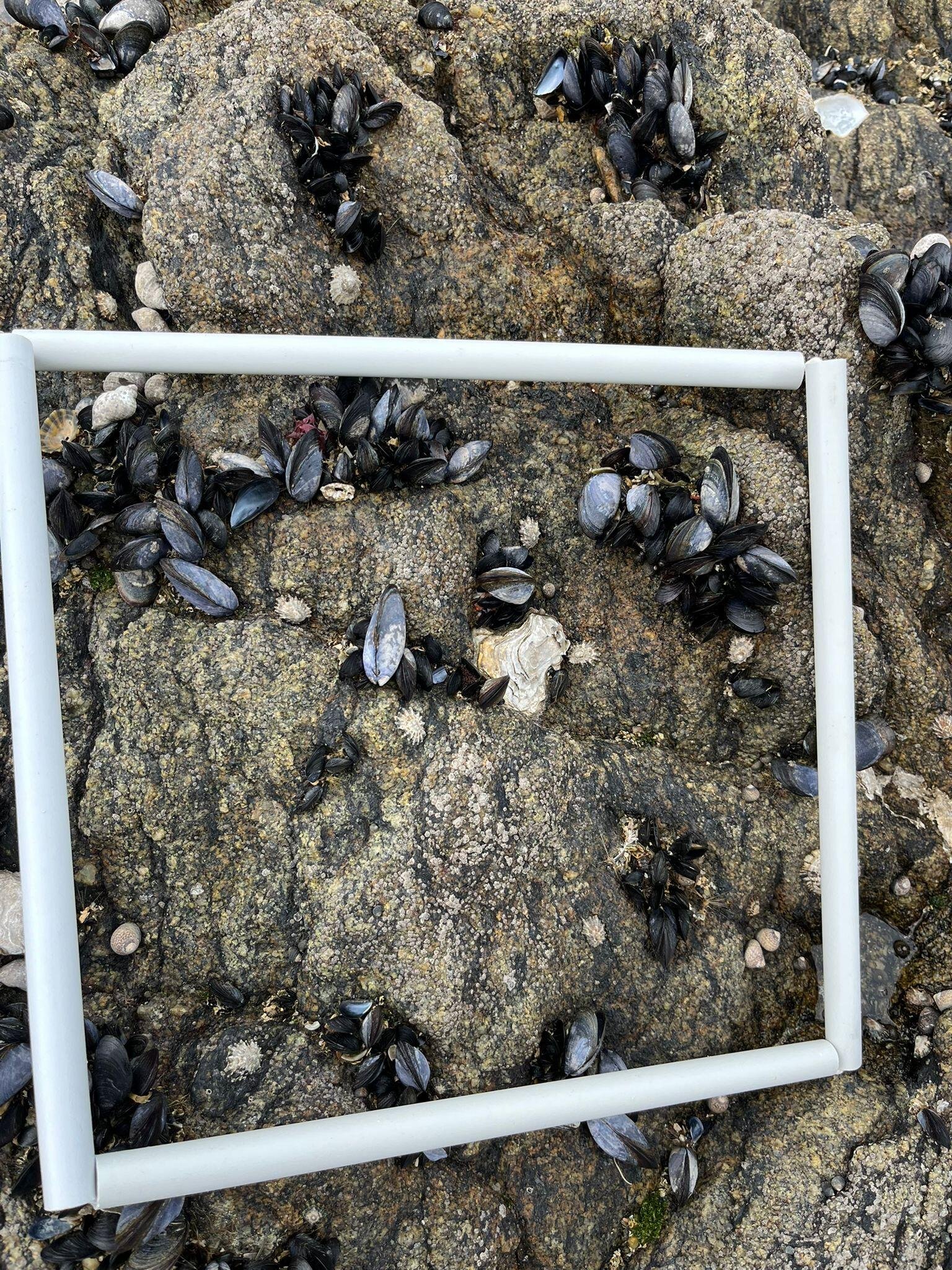 WhatsApp-Image-2026-04-02-at-09.20.14-1