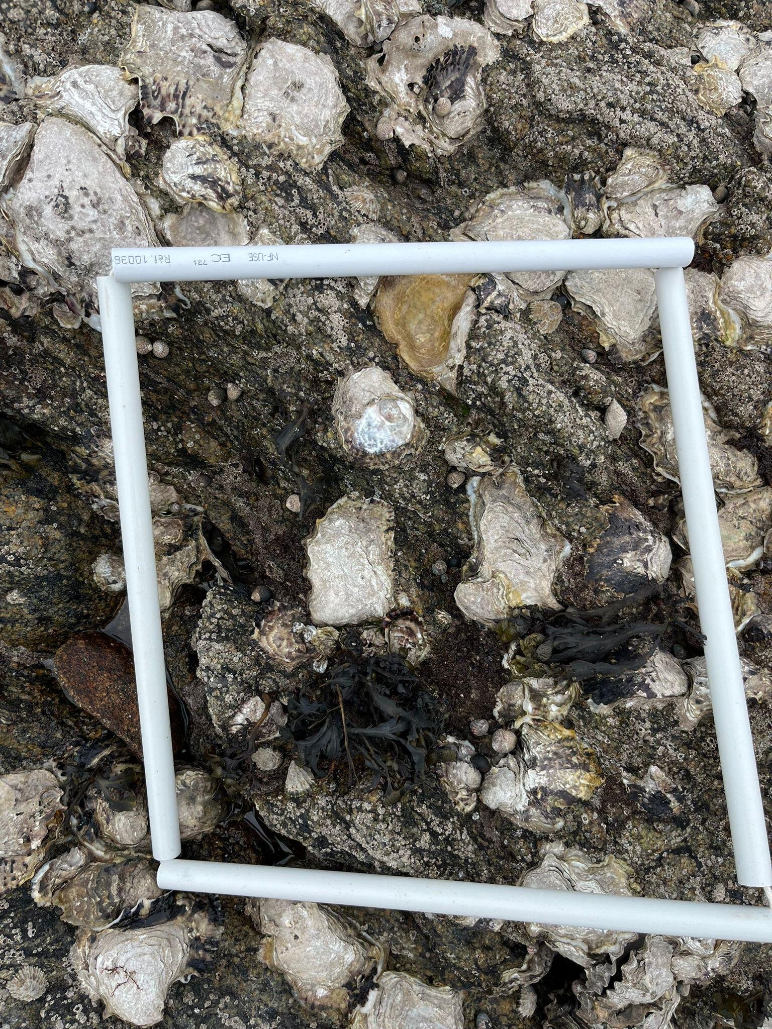 WhatsApp-Image-2026-04-02-at-09.20.14-2