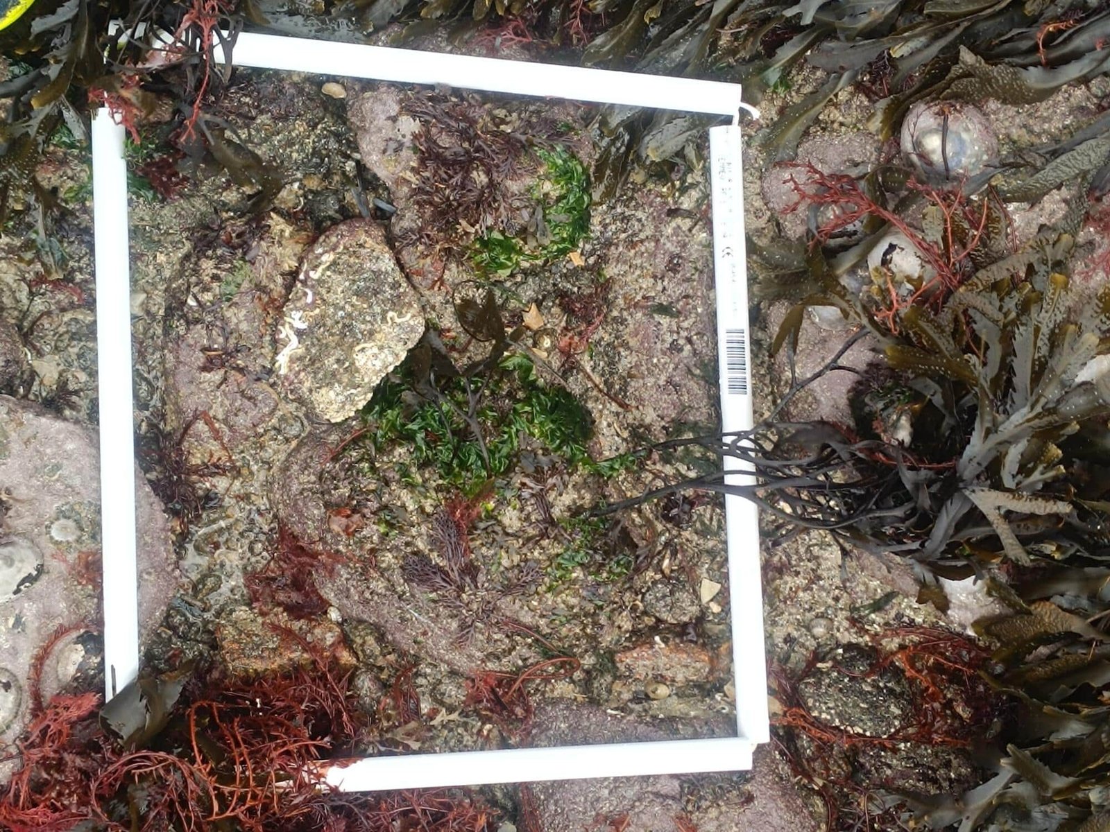 WhatsApp-Image-2026-04-02-at-09.20.28