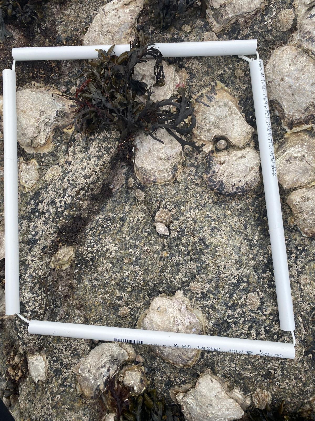 WhatsApp-Image-2026-04-02-at-09.35.41