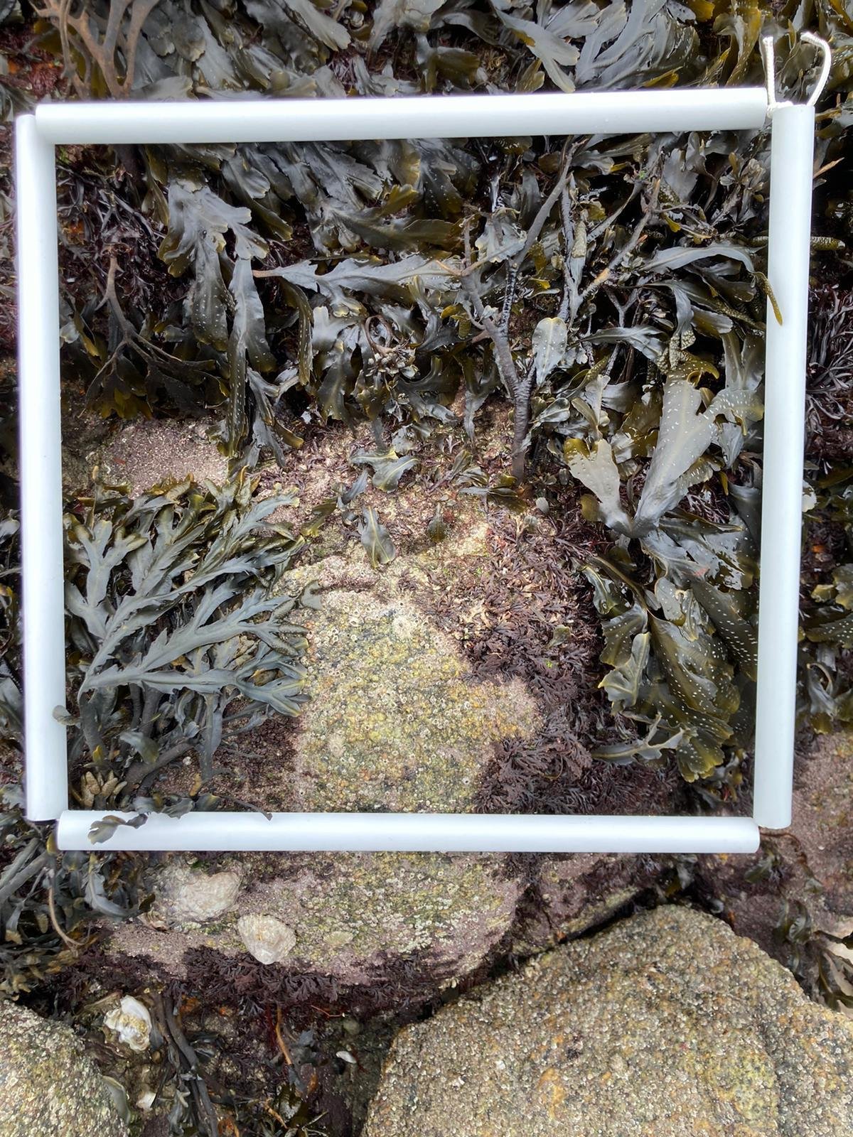 WhatsApp-Image-2026-04-02-at-09.38.15