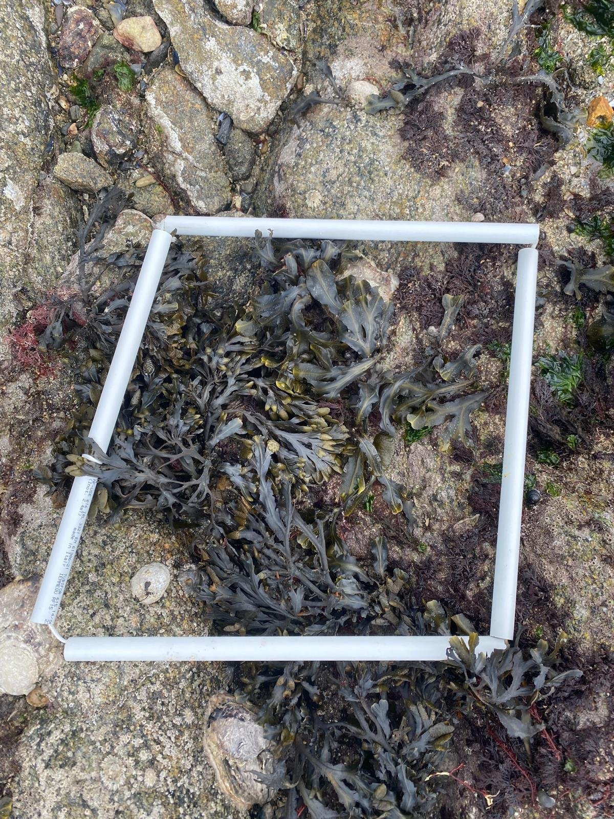 WhatsApp-Image-2026-04-02-at-09.52.37