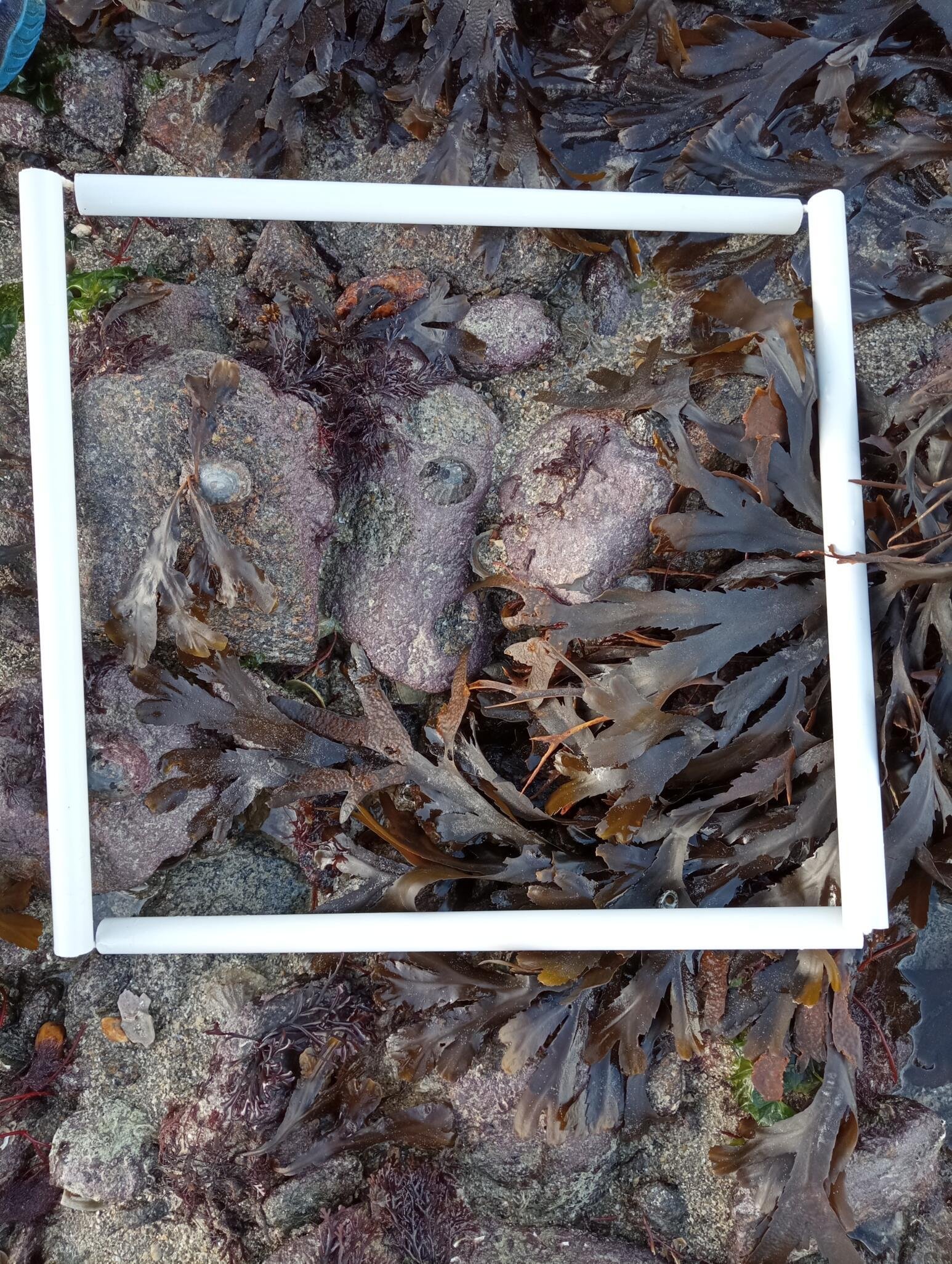 Quadrat_1_Image_principale