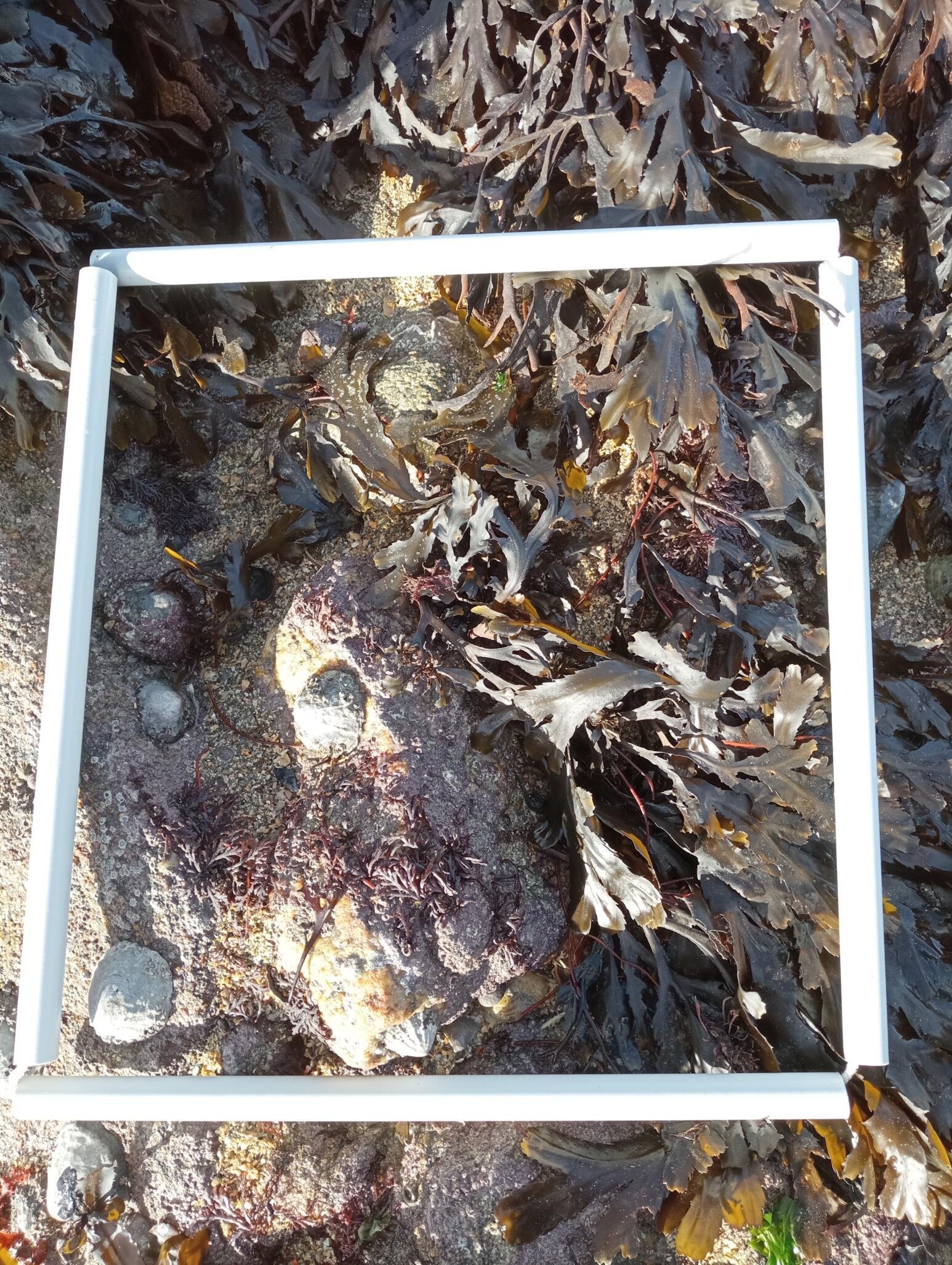 Quadrat_2_image_principale