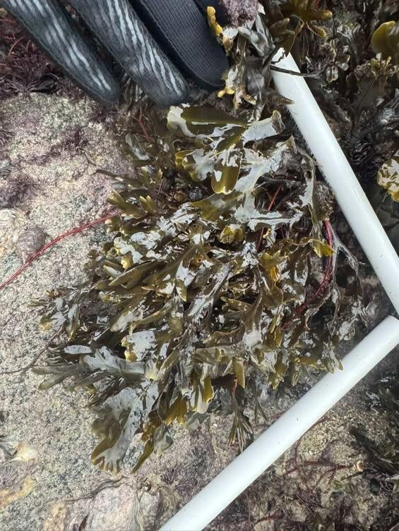 IMG_20260129_103335_345