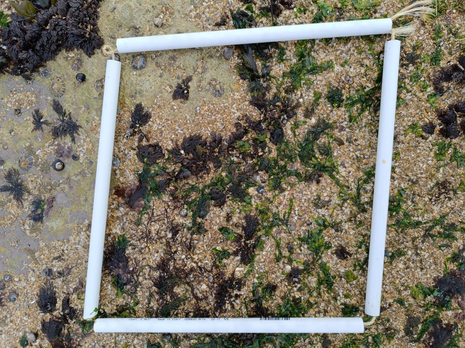 IMG_20260218_122042-1