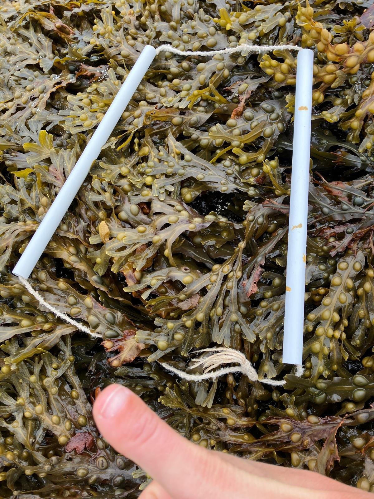 IMG-20260906-WA0027