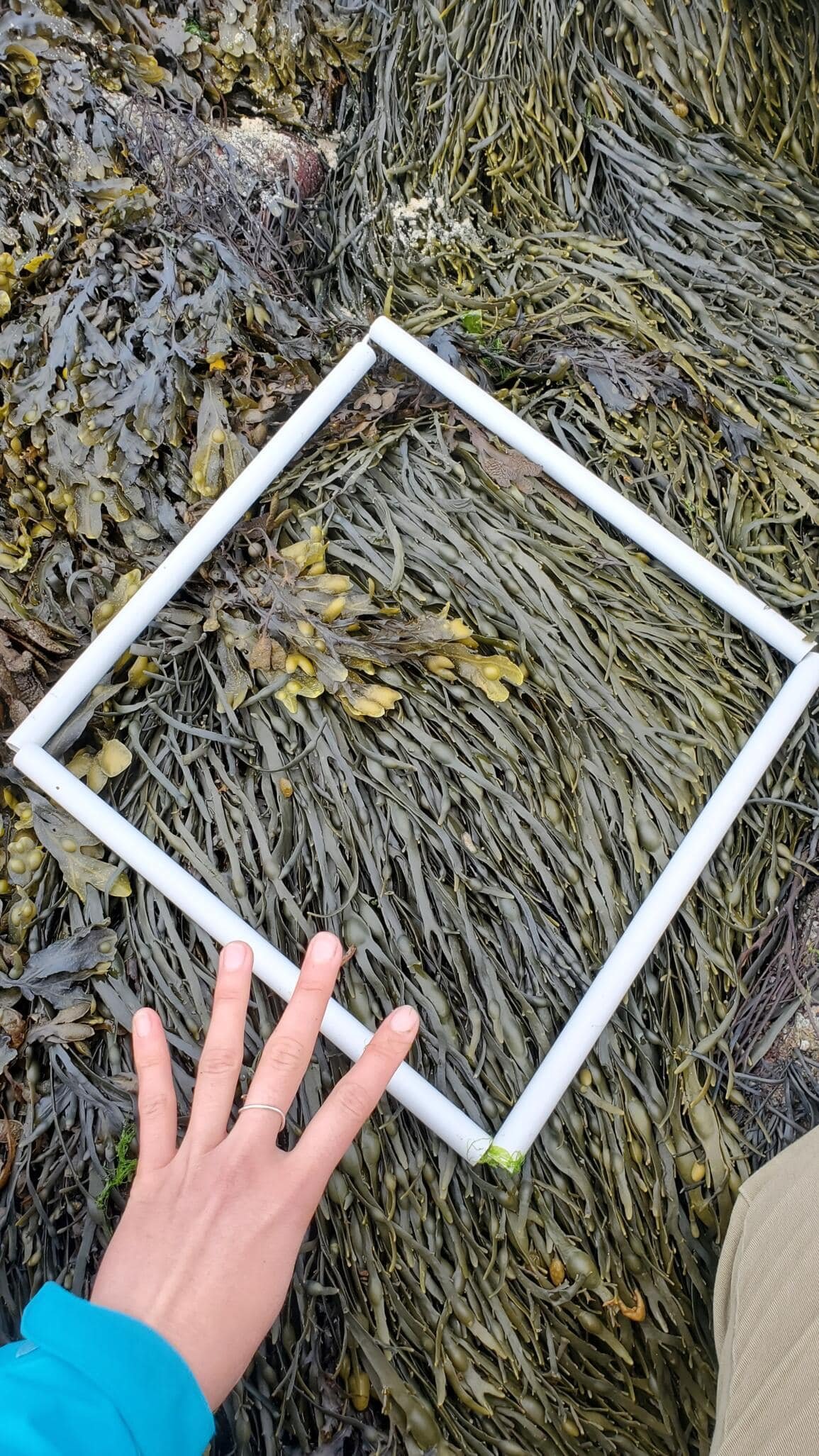 20260519_141131