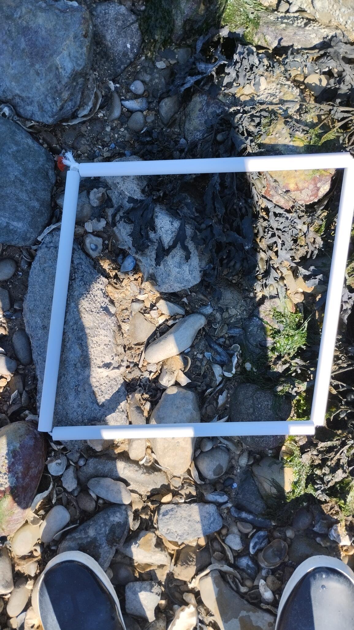 IMG_IMG_20240412_MJacquin_PlaneteMer-87