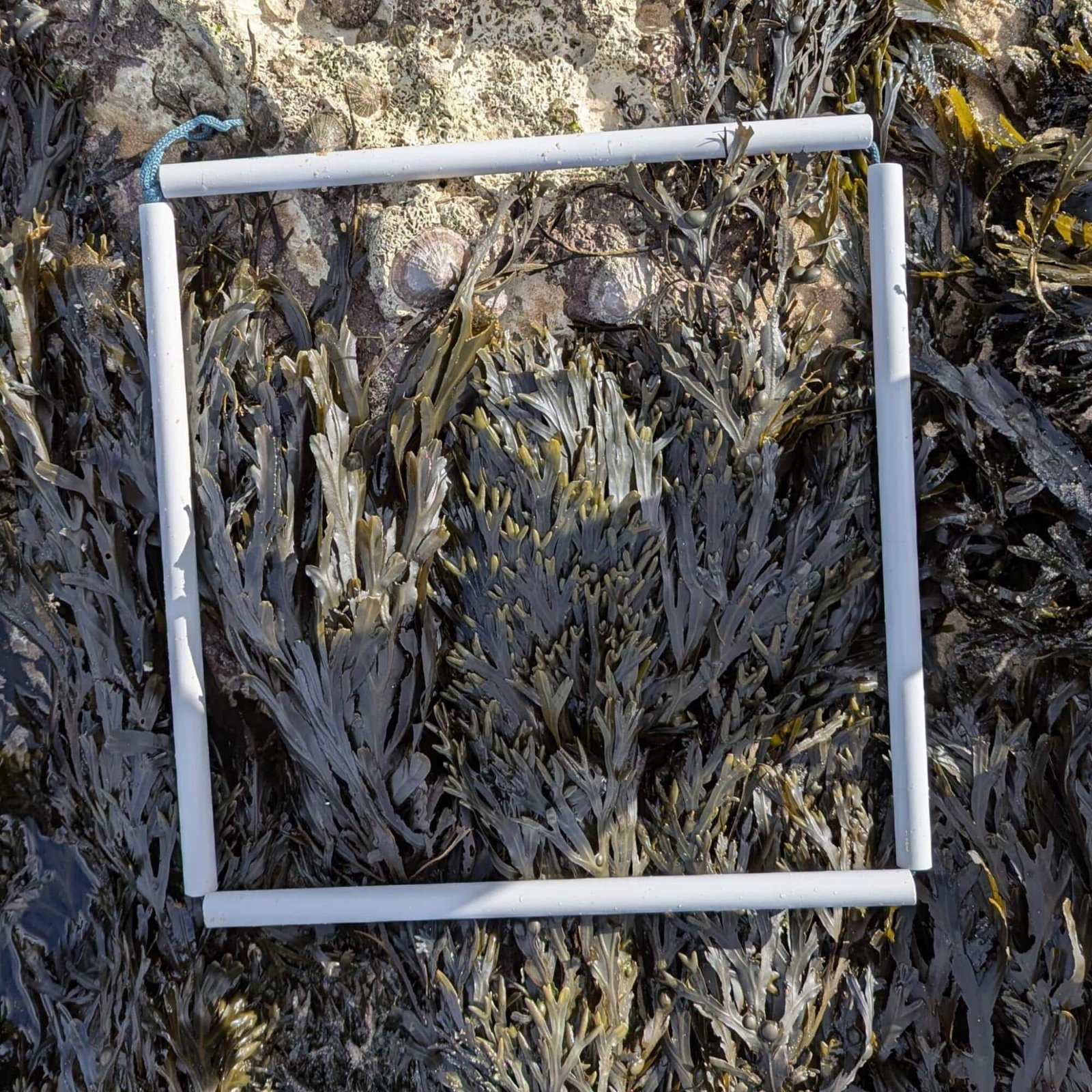 2.1-PXL_20260214_140355269