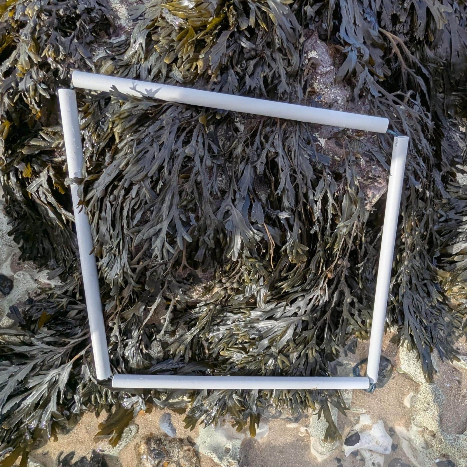 4.1-PXL_20260214_141938567